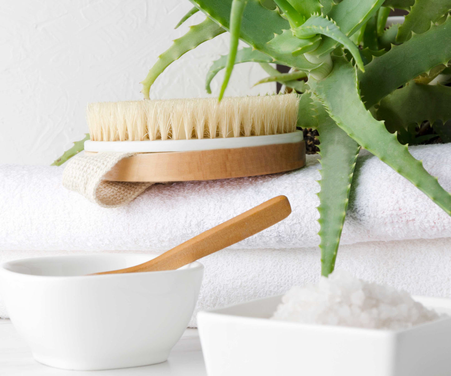 Stephanie Franck Beauty – Brosse à Sec Corps Ronde en Poils Naturels – Massage Tonique & Exfoliation – Force Moyenne (6/10)