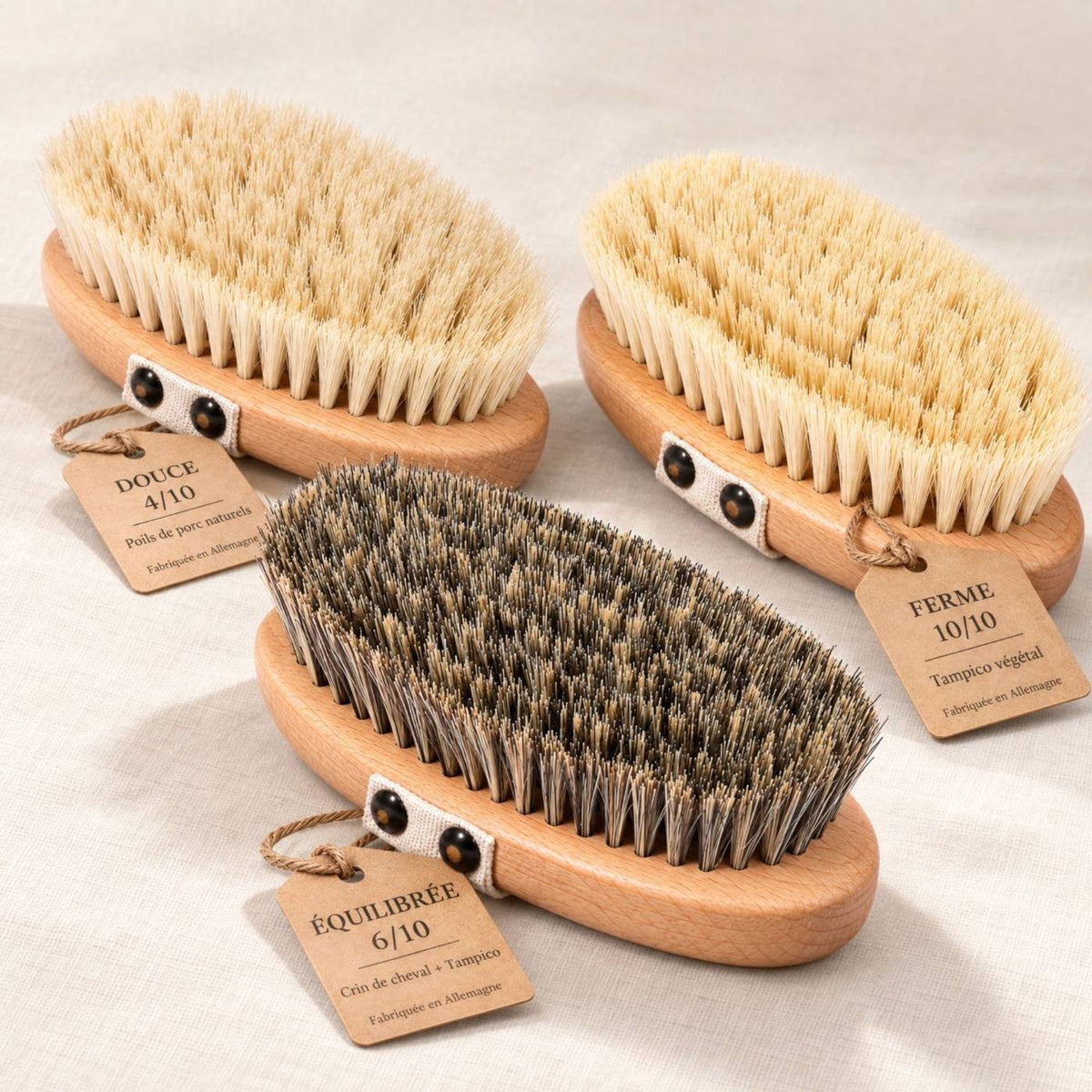 Brosses corps - collection