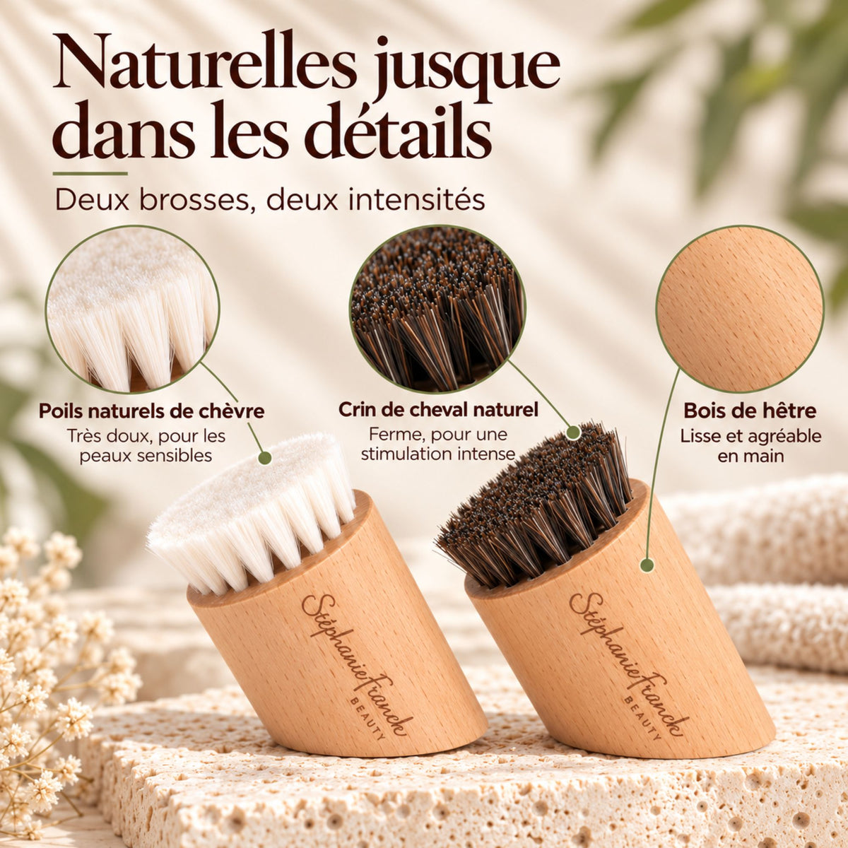 Coffret Brossage à Sec – 2 Visage (Douce et Ferme), 1 Corps Médium
