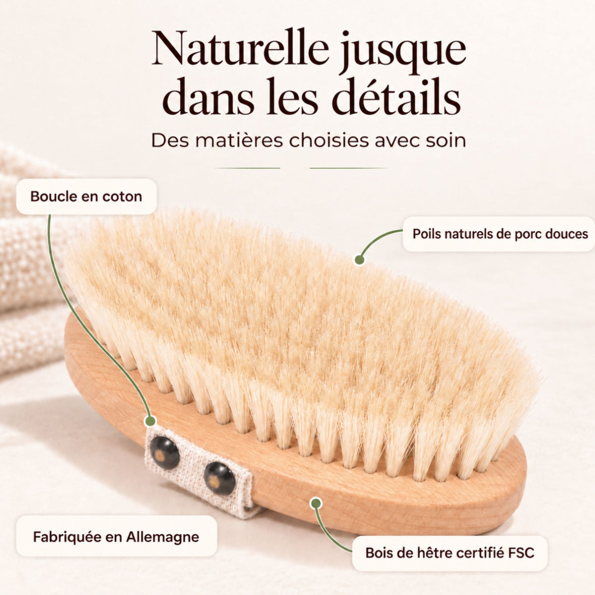 Détail des matières de la brosse corps douce - poils de porc naturels, bois de hêtre certifié FSC, boucle en coton