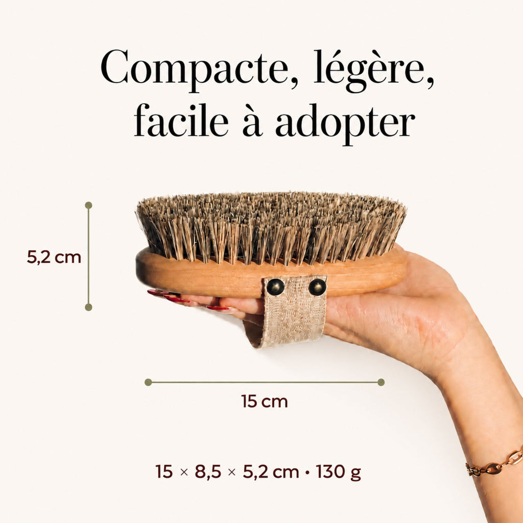 Brosse à sec corps Tampico et crin de cheval - dimensions