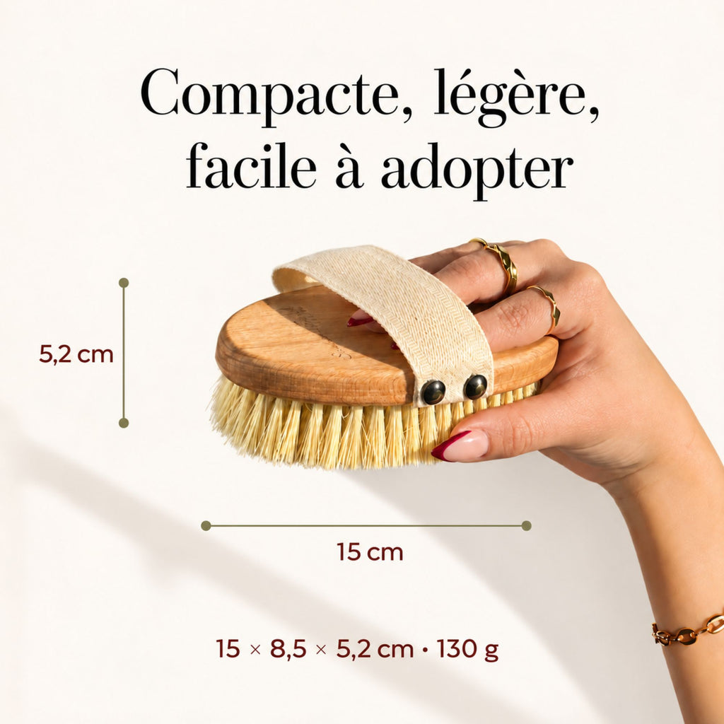 Brosse à sec corps vegan fibre de Tampico - dimensions